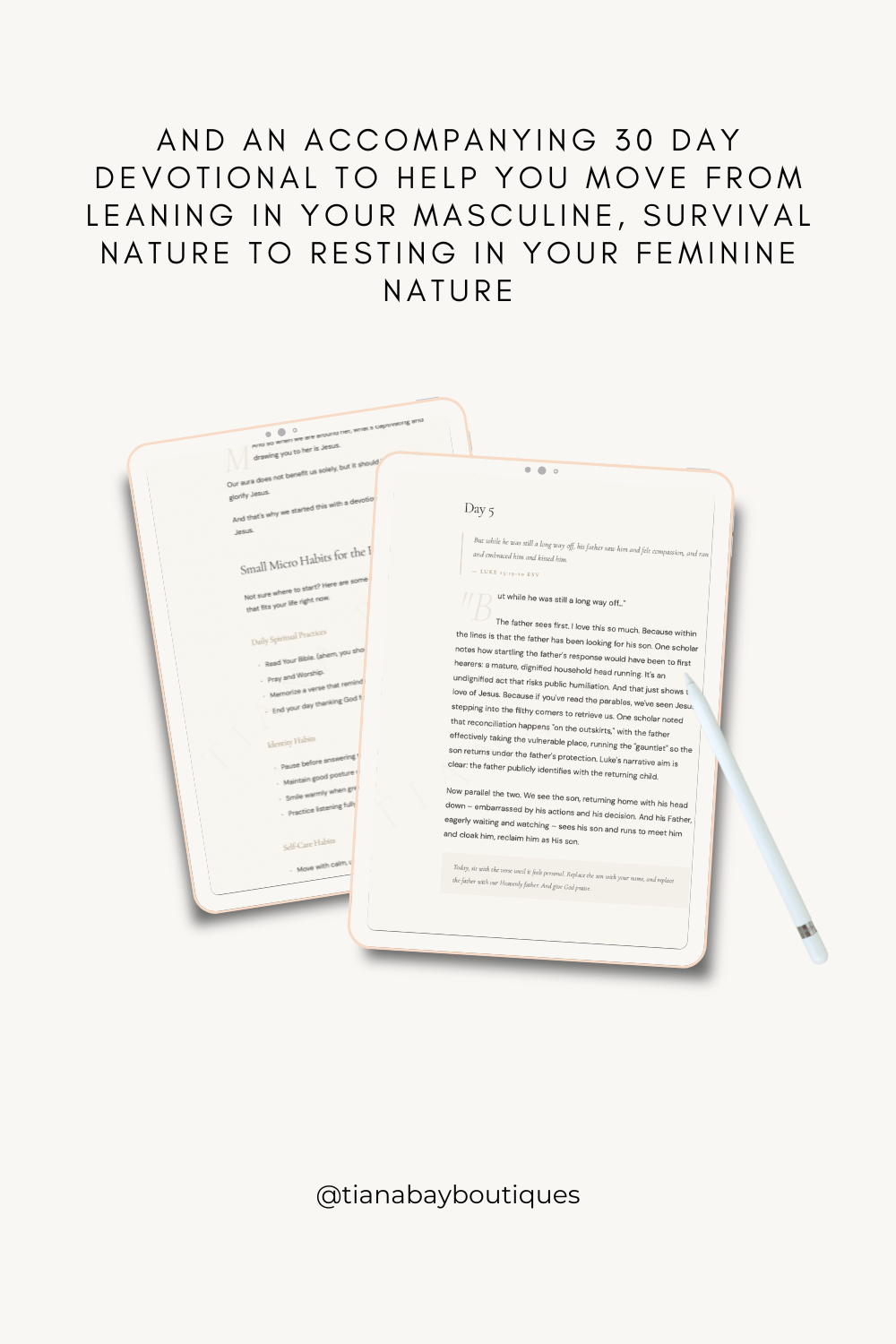 The Christian Feminine Blueprint & Devotional