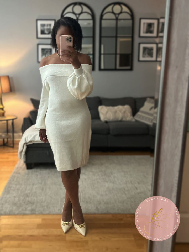 Elegant Sweater Dress